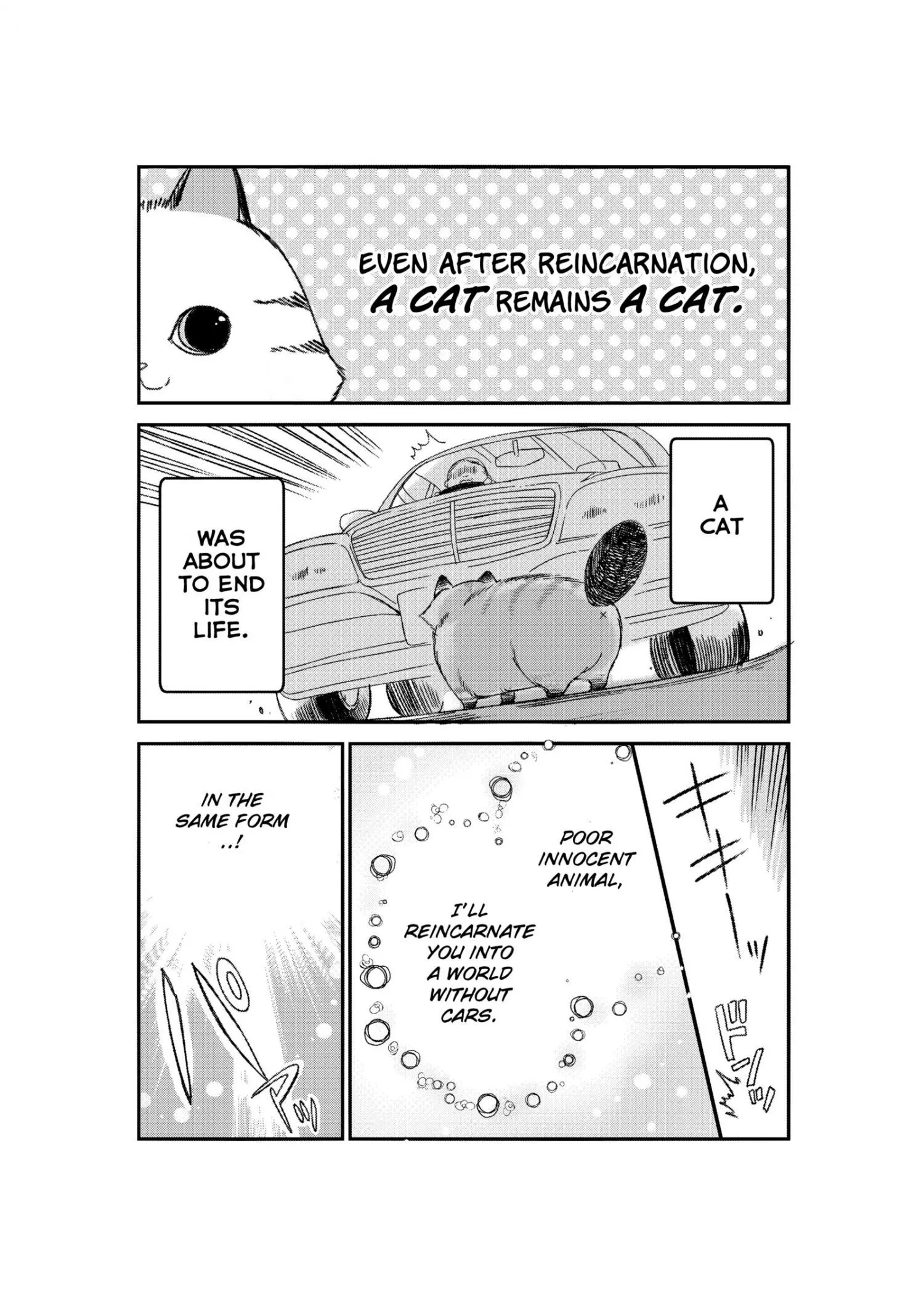 A story about a cat reincarnated in a different world where there are no cats. - Chapter 1 - Page 1