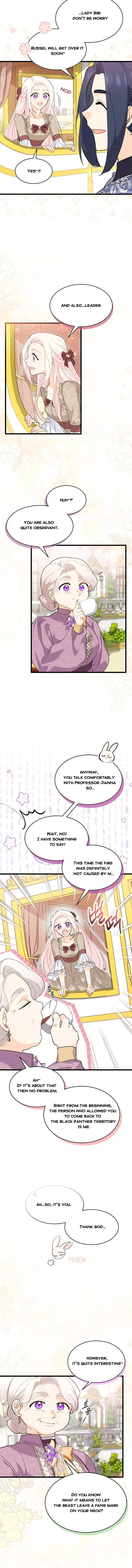 A Symbiotic Relationship Between A Rabbit And A Black Panther - Chapter 79 - Page 2
