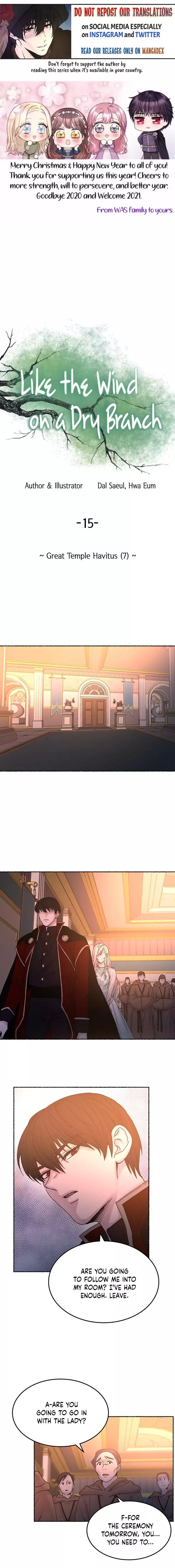 Like A Wind On A Dry Branch - Chapter 15 - Page 1