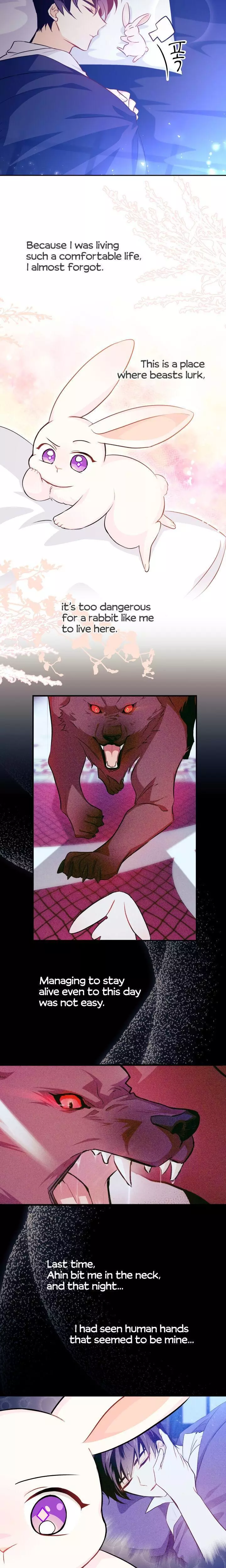 The Symbiotic Relationship Between the Rabbit and the Black Panther - Chapter 16 - Page 12
