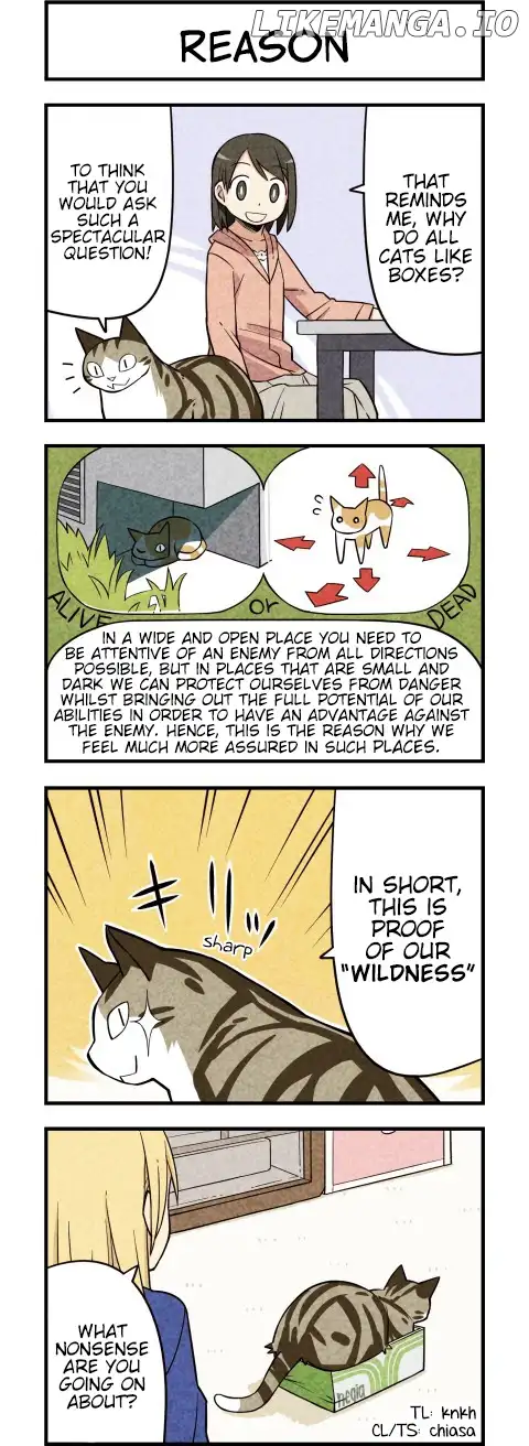 We are Cats - Chapter 23 - Page 4
